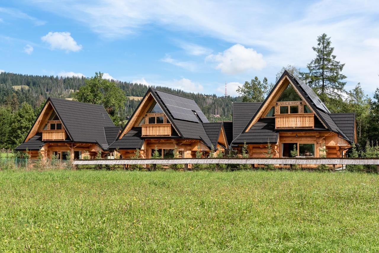 Sniezna Dolina - Sobiczkowa Bor Luxury Chalets Kościelisko Extérieur photo